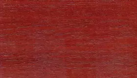 Образец № 51